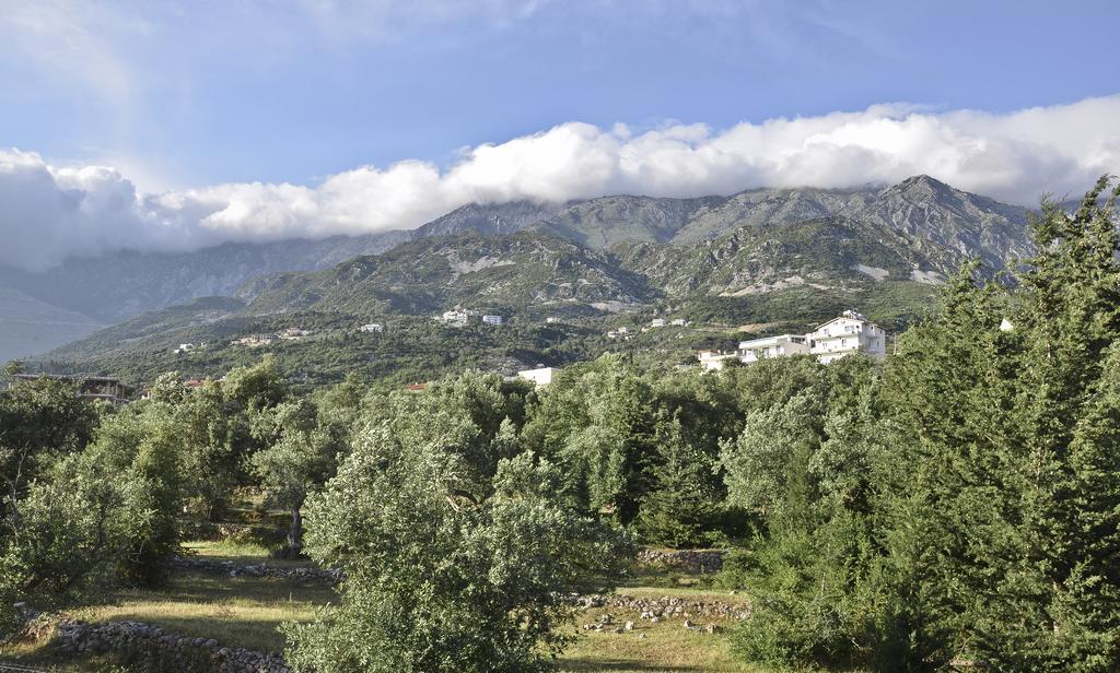 Perivolos Apartments Dhërmi エクステリア 写真